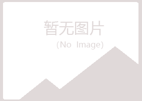 兰山区逃离律师有限公司